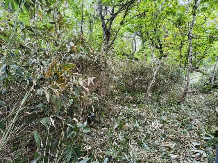 metal-roof-1 笹刈り作業が完了し綺麗に整地された敷地